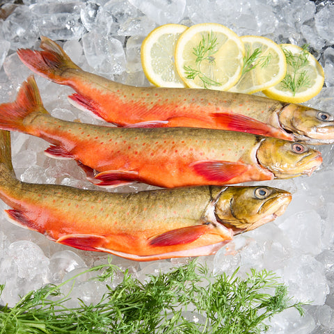 Wild caught arctic char