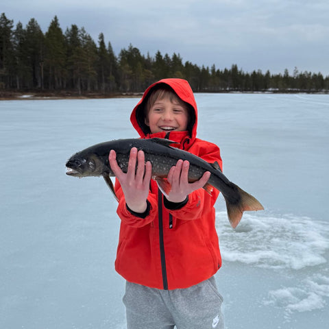 Wild caught arctic char