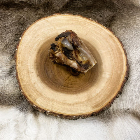 Moose bone - long term chewing