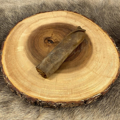 Moose skin chewing bones