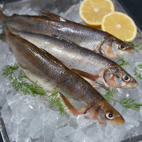 Wild caught whitefish