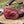 Load image into Gallery viewer, Moose fillet - lace
