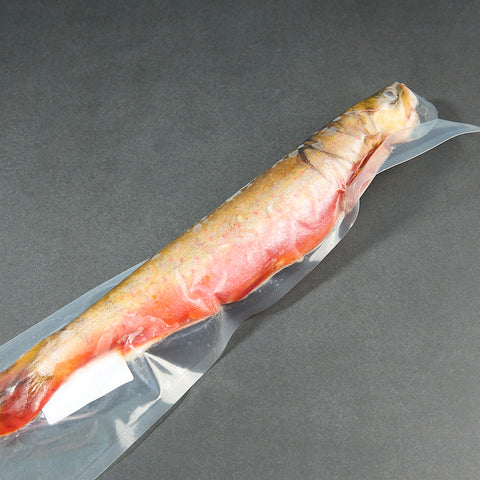 Wild caught arctic char