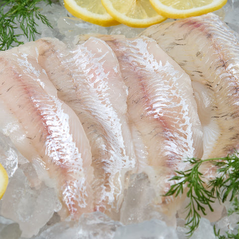 Zander fillet