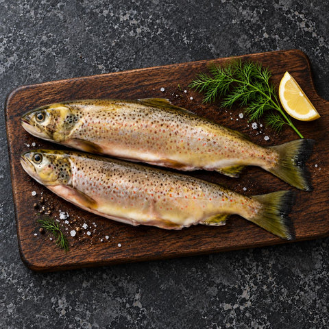 Wild caught mountain trout