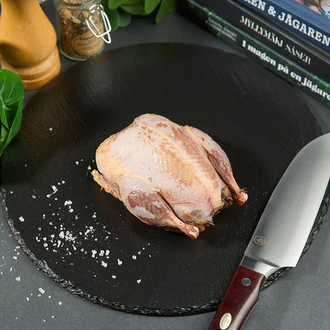 Partridge